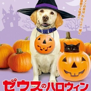 【値下げ】2262 ディスクのみ ゼウスのハロウィン おばけ屋敷で大騒動 ディーン・ケイン ＊他にも多数出品中 ＊10枚まで同梱可能250円の画像2