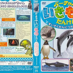 2418 ケース無し 【海の生き物色々※5枚セット】水の生き物 魚 水族館 ＊他にも多数出品中 ＊10枚まで同梱可能250円の画像4