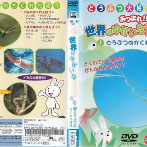 2420 ケース無し【生き物色々※5枚セット】動物 生き物 カバ ライオン ＊他にも多数出品中 ＊10枚まで同梱可能250円 の画像5