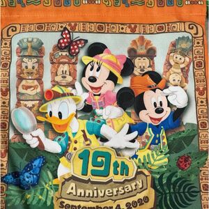 ディズニーシー　19周年　巾着　未使用　タグ付き