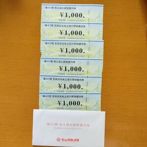 ビックカメラ　 株主優待 お買物優待券　1000円６枚　6000円分　2024年5月31日まで！送料無料