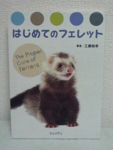 どうぶつシリーズ はじめてのフェレット 工藤裕幸 内藤惠 ★ 初心者 飼育入門書 しつけの仕方 シャンプー ケア方法 イラスト 写真 健康