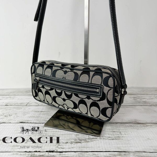 COACH コーチ シグネチャー レザー ショルダーバッグ P22