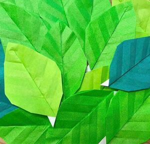 葉っぱ 折り紙 新緑 緑 春 葉 夏 壁面飾り 壁面 飾り付け
