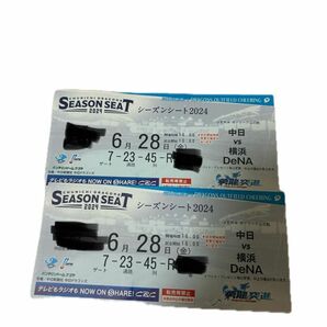 中日ドラゴンズ　バンテリンドーム　チケット　ドラゴンズ外野応援　ライト側　6/28金　18:00〜