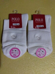 POLO BCS