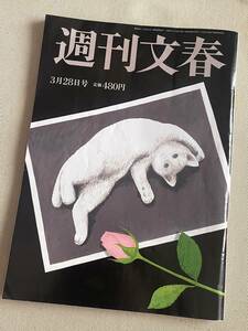 ★ 週刊文春 (2024年3月28日号) ★【森七菜 etc】 ★ 【 第三種郵便(送料安)対応!! 】 ★