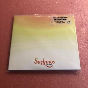 CD+DVD 紙ジャケット Suchmos The ANYMAL サチモス