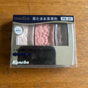 Kanebo カネボウ MEDIA メディア アイシャドー グラデカラー PK-01 3.5g 見たまま美発色(新品)