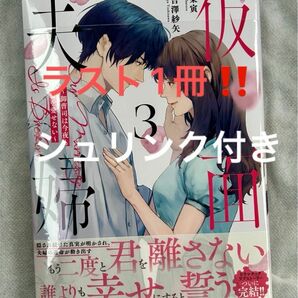 仮面夫婦～御曹司は今夜も妻を愛せない～ 3