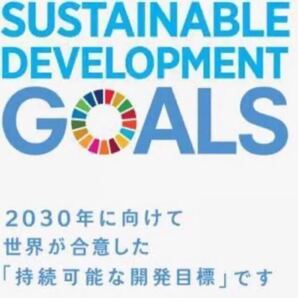 【特別提供品】SDGs ピンバッジ 新品未使用 【国連本部純正品】 の画像9