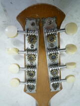 【6-4-18-6Ta】　SUZUKI　1964年　№203　マンドリン　ハードケース付き　ピック付き　螺鈿　弦楽器_画像9