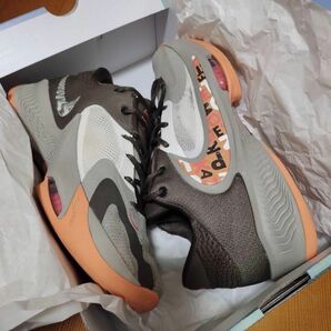 NIKE ZOOM FREAK 4　US10