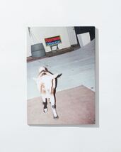 【新品未使用】 21AW 22 新品 SUPREME シュプリーム SUN DAMAGE by HARMONY KORINE PHOTOBOOK フォトブック 写真集 即決早い者勝ち_画像1