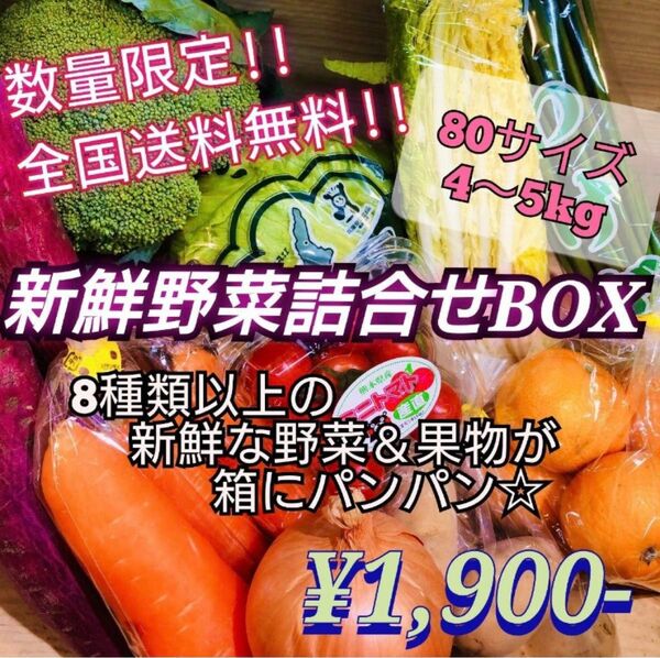 新鮮野菜と果物 山盛り詰合せBOX 全国送料無料！