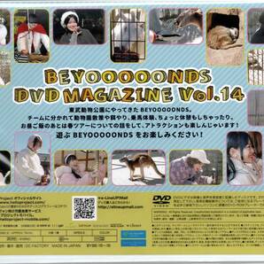 BEYOOOOONDS DVD MAGAZINE Vol.14 DVDマガジンの画像2