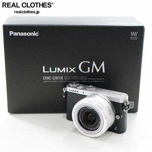 Panasonic/パナソニック LUMIX DMC-GM1K DMC-GM1/G VARIO 1:3.5-5.6/12-32 ASPH. MEGA O.I.S. ミラーレス一眼 簡易動作確認済み /060