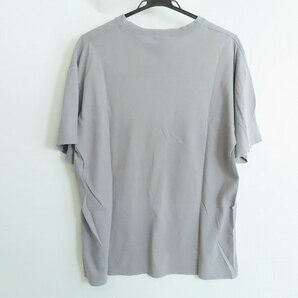 ☆STUSSY/ステューシー NEW YORK CITY CREW フォトプリント Tシャツ グレー/L /LPLの画像2