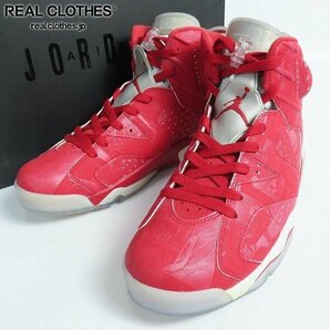 NIKE/ナイキ AIR JORDAN6 RETRO/エアジョーダン SLAM DUNK/スラムダンク 717302-600/28.5 /080の画像1