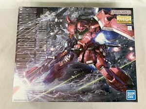 【未開封】MG 機動戦士ガンダムSEED DESTINY ガナーザクウォーリア(ルナマリア・ホーク専用機) 1/100