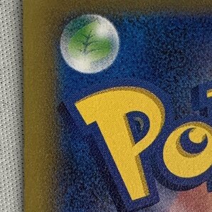 ポンチョを着たピカチュウ(レックウザ) 230/XY-P ポケモンカード ポケカの画像10