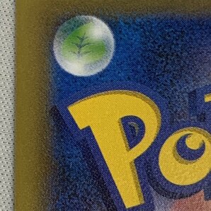 【美品】ポンチョを着たピカチュウ(レックウザ) 231/XY-P ポケモンカード ポケカの画像10