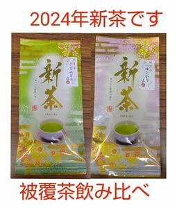 2024年新茶 静岡県牧之原市産 被覆茶さえみどり/つゆひかり　飲み比べ