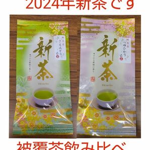 2024年新茶 静岡県牧之原市産 被覆茶さえみどり/つゆひかり　飲み比べ