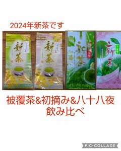 2024年新茶 静岡県牧之原市産 被覆茶さえみどり/つゆひかり/初摘み/八十八夜