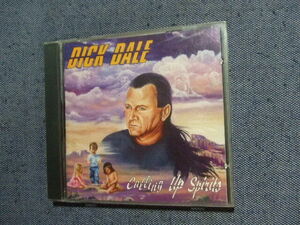 CD★ディック・デイル/DICK DALE/CALLING UP SPIRITS 輸入盤★8枚、送料160円　　テ