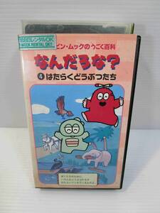 (激レア）ガチャピン・ムックのうごく百科なんだろな [VHS] ポンキッキ (出演)