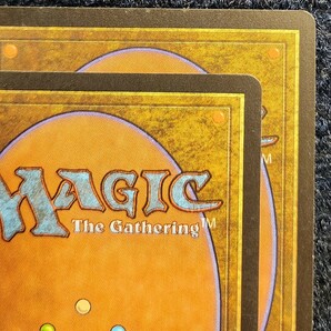 Yawgmoth's Will/ヨーグモスの意志 英語 2枚セット MTG Magic the Gathering の画像9