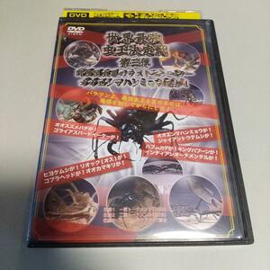 動物DVD「世界最強虫王決定戦 第三弾」「レンタル版」