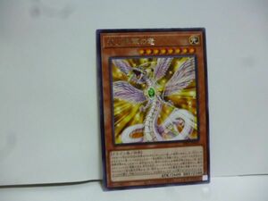 遊戯王 INFO-JP010 光と昇華の竜 Rare INFINITE FORBIDDEN