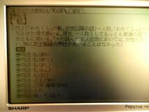 ★G.W.特別企画★SHARP シャープ 電子辞書 (型番:PW-AT780) 極上美品 送料185円♪_画像4