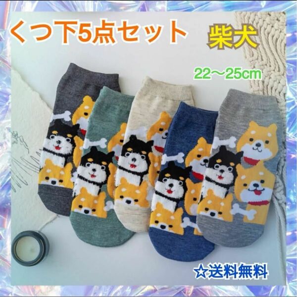 まとめ売り５足靴下セットかわいい柴犬レディース 韓国 人気 ソックス ショート