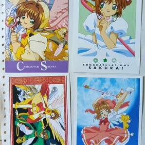 SAKURA KINOMOTO CARDCAPTOR SAKURA他下敷＆ポストカードの画像7