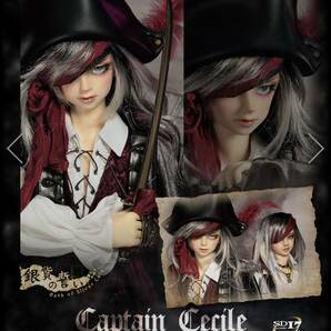 SD17男の子 Captain Cecile ボークス volks SD ドールドルパ ドールズパーテイーの画像1