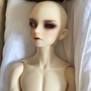 SD17男の子 Captain Cecile ボークス volks SD ドールドルパ ドールズパーテイーの画像5