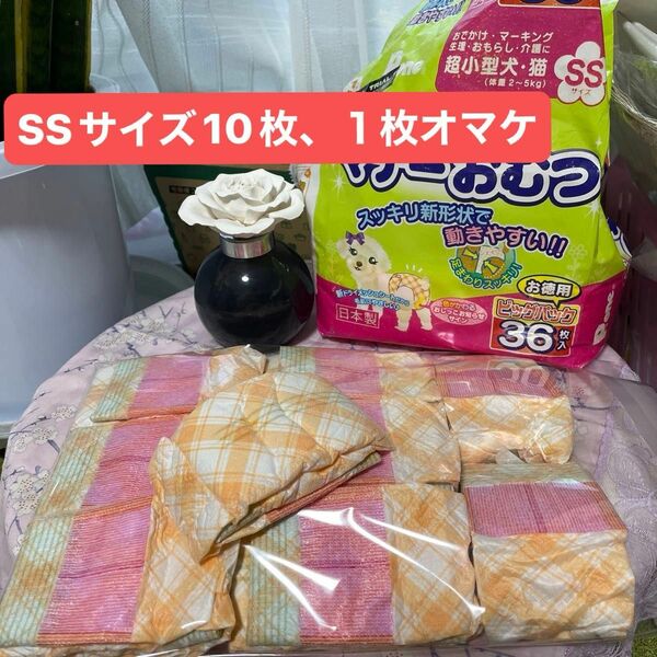 マナーおむつSSサイズ10枚プラス１枚オマケ高齢犬、超小型犬、猫用