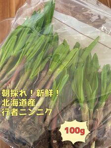 北海道産　天然物　行者ニンニク　100g