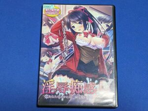 0402-10【レンタル落ちDVDPG】淫辱痴感～あなたなんかには、屈しない！～/（DVDPG）/送料：クリックポスト 185円