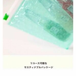 UZUBYFLOWFUSHIHAPPY BAG (Green edition)の画像3