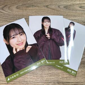 乃木坂46 向井葉月　 MA-1×スカート　生写真　コンプ