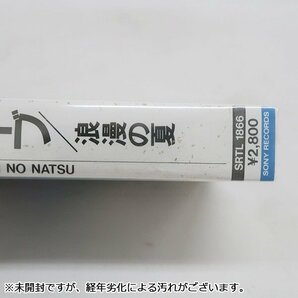 SA41■ [送料無料/未開封品] チューブ TUBE 浪漫の夏 メロディーズ＆メモリーズ カセットテープ 2本まとめの画像6