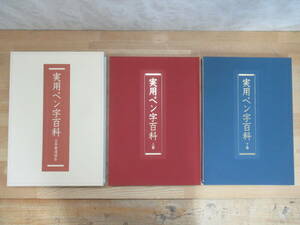 J40☆ 実用ペン字百科 上下2巻揃い 鈴木啓水 ユーキャン 日本書道協会 ハガキ 手紙 冠婚葬祭 ビジネス 240401