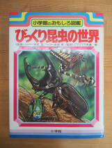 B93☆ 【 初版 】 びっくり昆虫の世界 小学館のおもしろ図鑑 小学館 1967年 カブトムシ チョウ バッタ アリ セミ ホタル カマキリ 240402_画像1