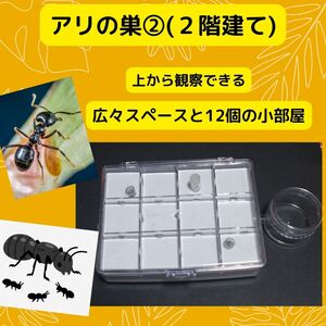 【アリの巣②平置き2階建て】石膏 ペット 昆虫飼育 蟻観察 ケース