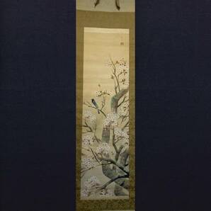 【真作】【芸】竹内未明（桜花之図）日本画 川端龍子・堂本印象に師事 日府展理事 共箱 肉筆絹本 大阪の人の画像1