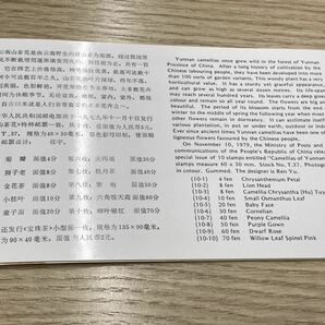 中国切手 雲南の椿 つばき T37 小型シート 初日カバーの画像5